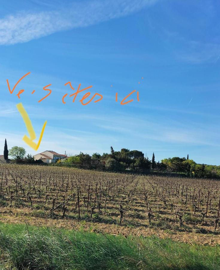Gites A Moussan ,Domaine De La Barque A 5 Mins De Narbonne Экстерьер фото