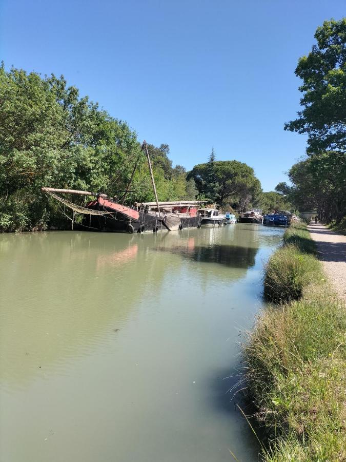 Gites A Moussan ,Domaine De La Barque A 5 Mins De Narbonne Экстерьер фото